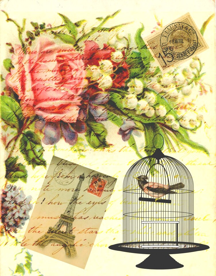 Birdcage flowers floral script