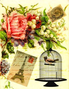 Birdcage flowers floral script