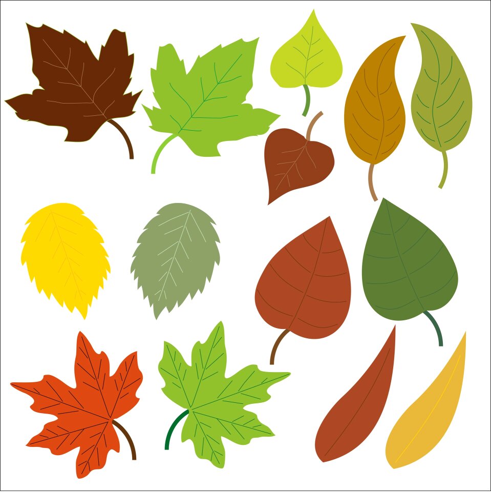 Maple green brown