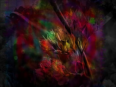 Leaves colors Free illustrations