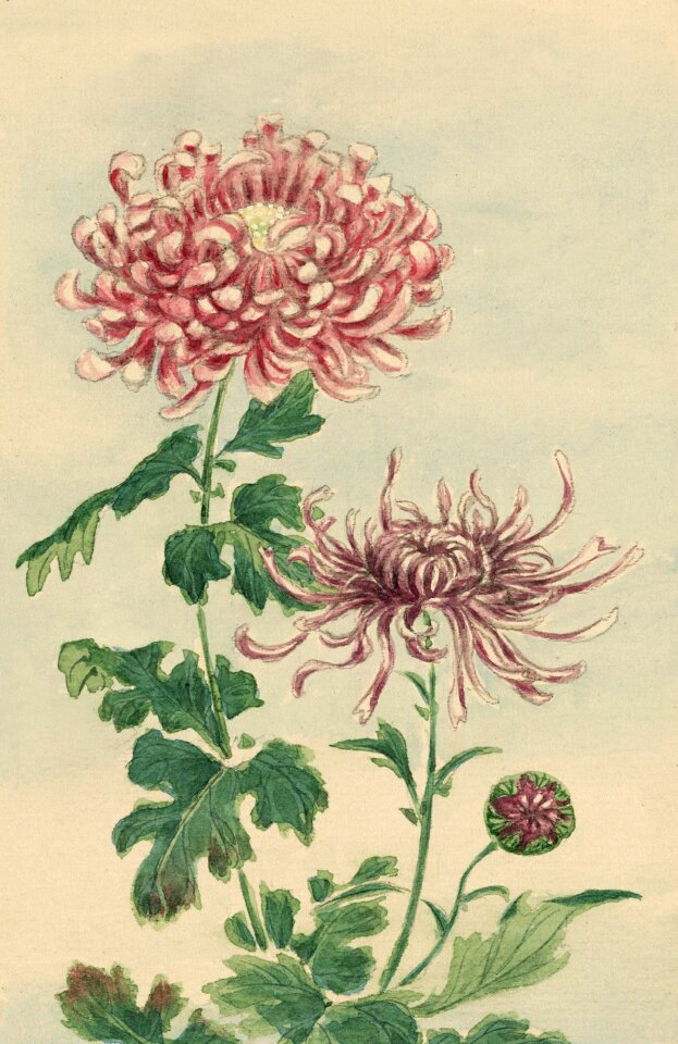 Painting print painted