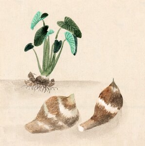 Painting vintage japanese