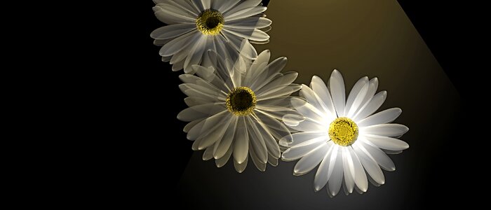 Light summer Free illustrations