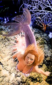 Ocean mermaid Free illustrations