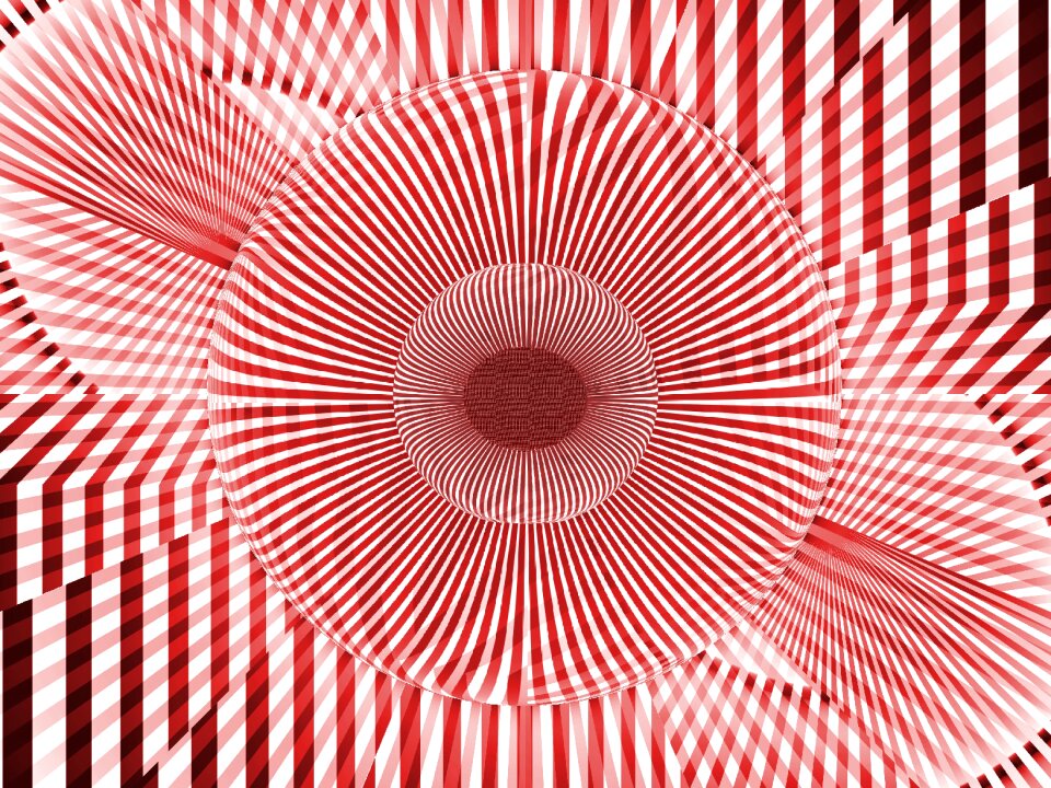 Flower white red red white