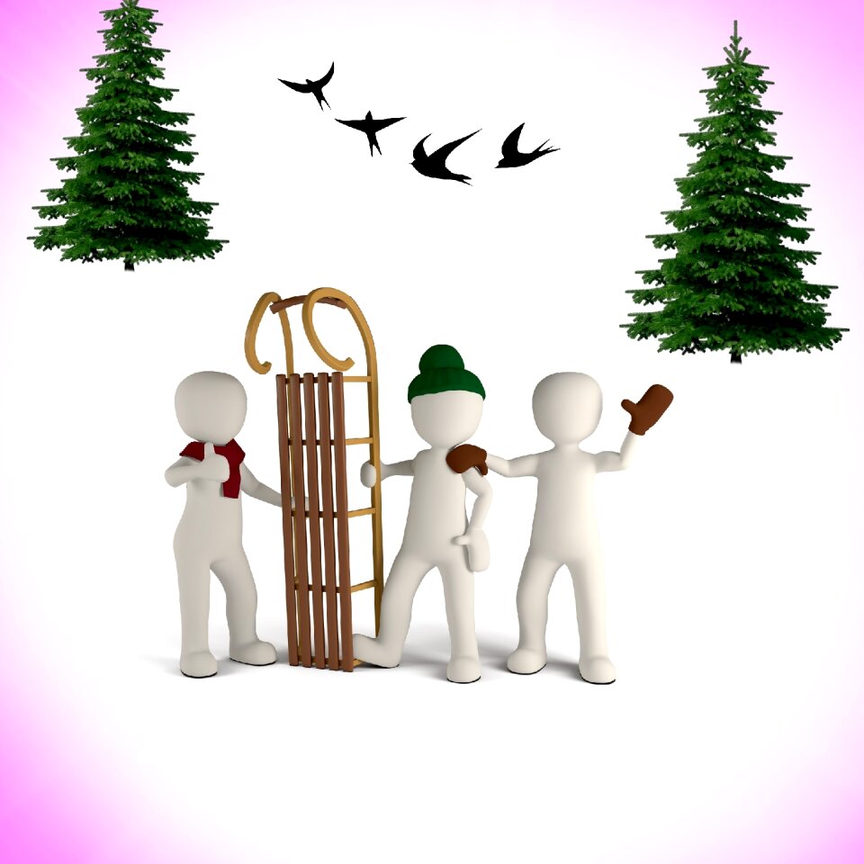 Sledge white man forest