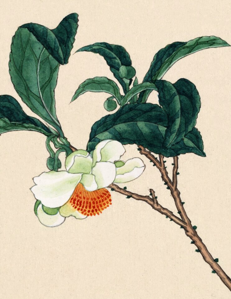 Painting print painted