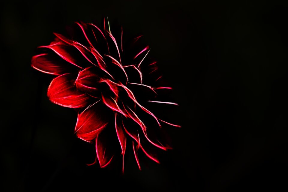 Background graphic form