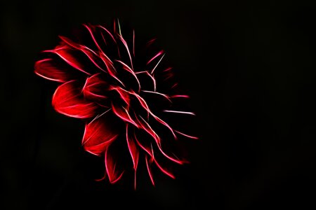 Background graphic form