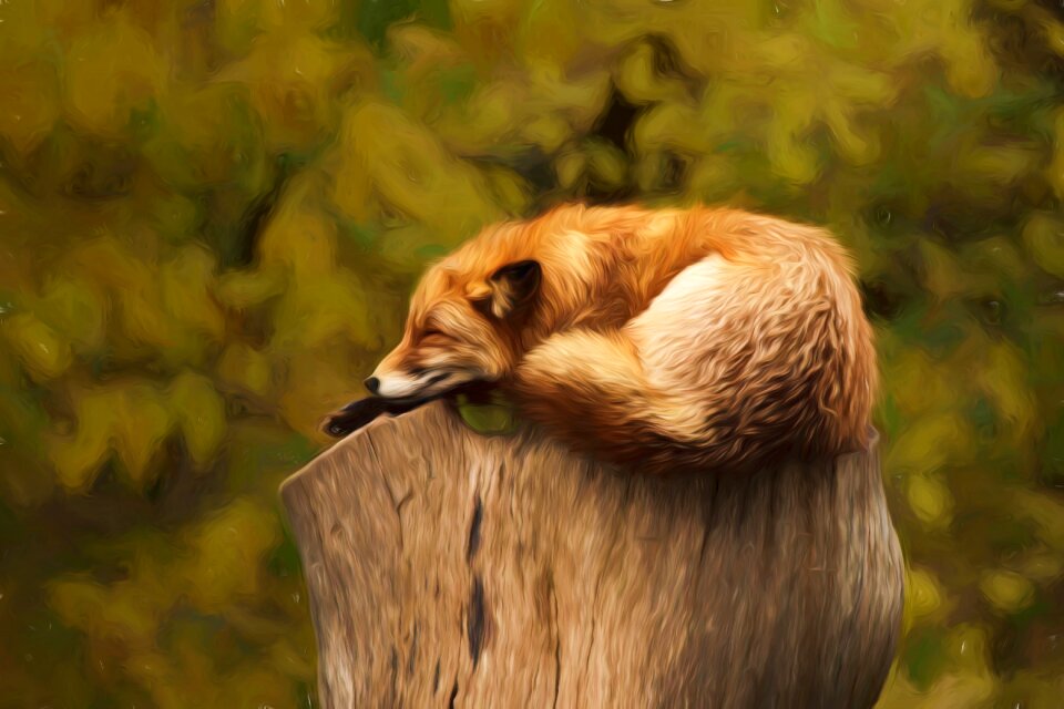 Art artwork creative