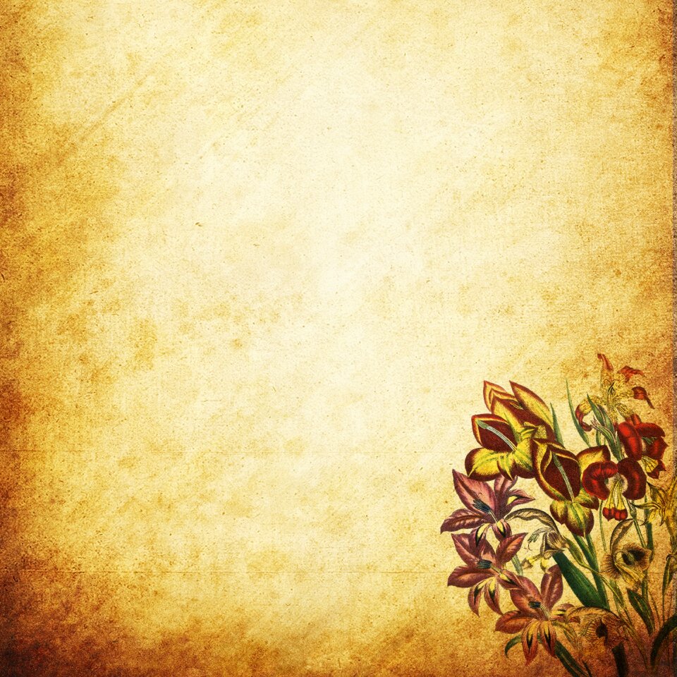 Scrapbook vintage texture