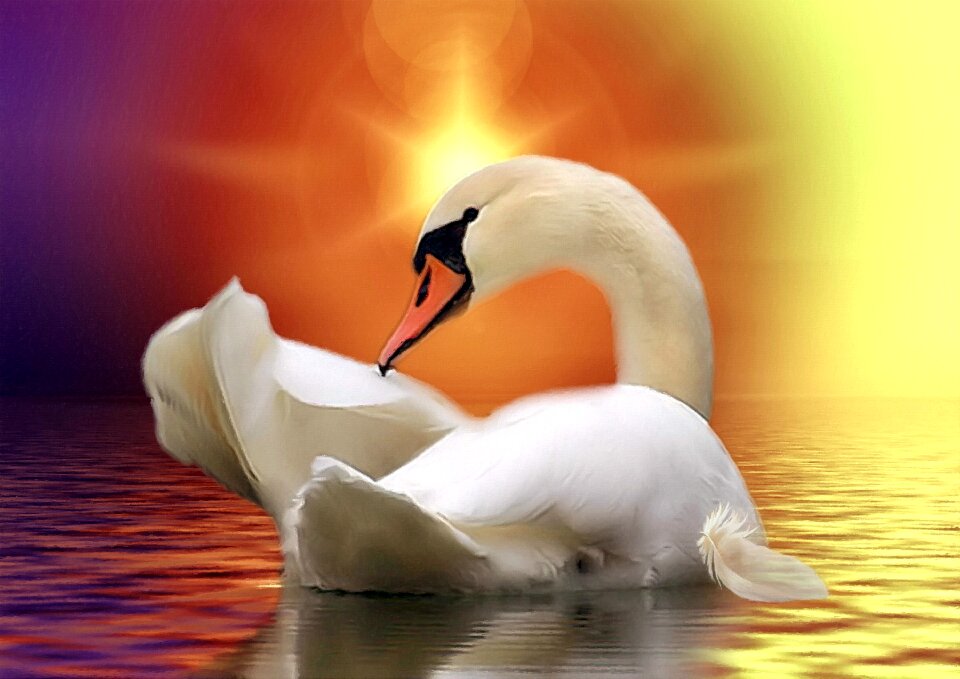 Lake sun light