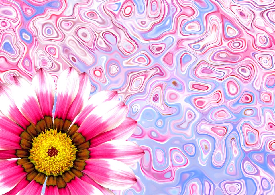 Summer pink light blue