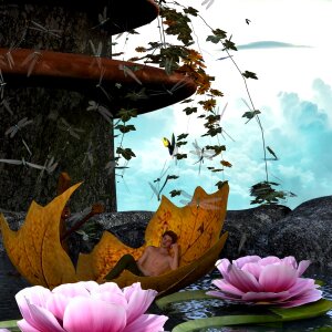 Bloom boat aquatic plant