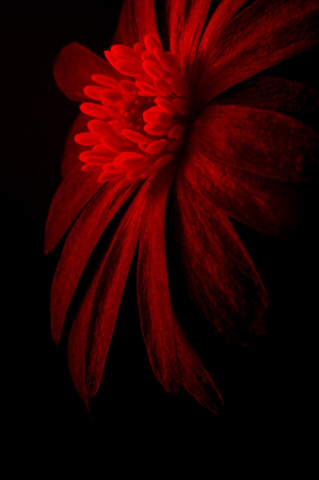 Artwork red graphical design
