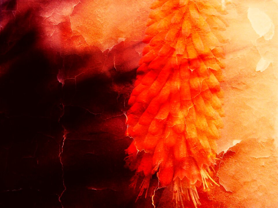 Nature wall grunge
