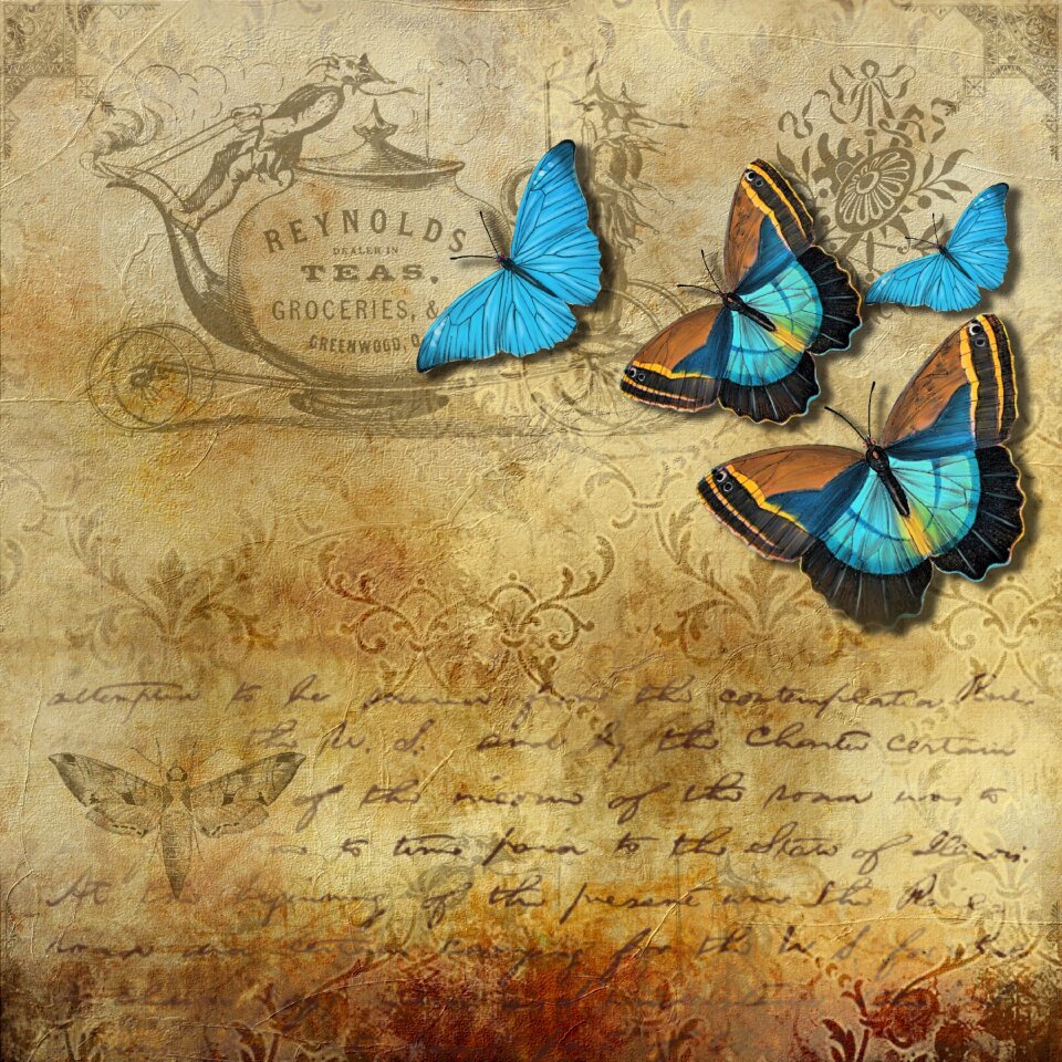 Paper butterfly Free illustrations
