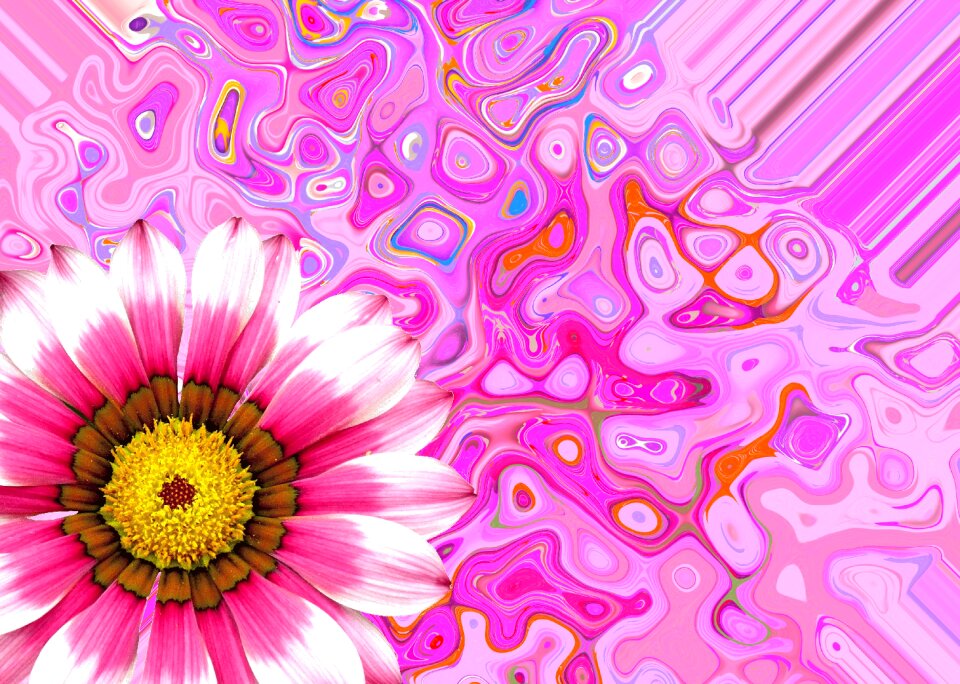 Summer pink plant