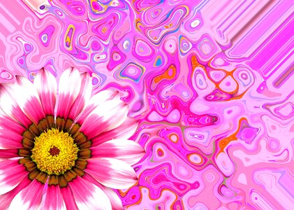 Summer pink plant