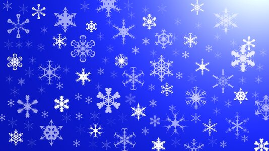 The petals snow Free illustrations