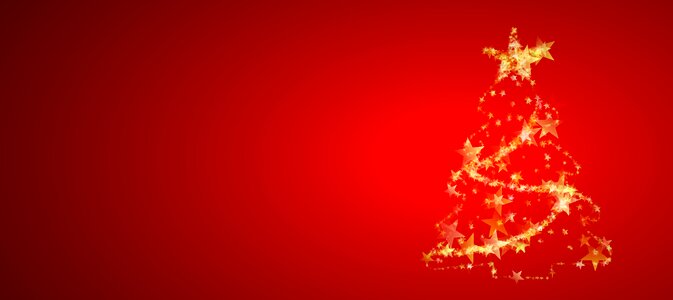 Fir tree decorated background