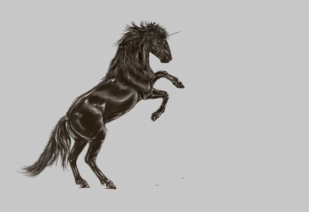 Art digital artwork Free illustrations