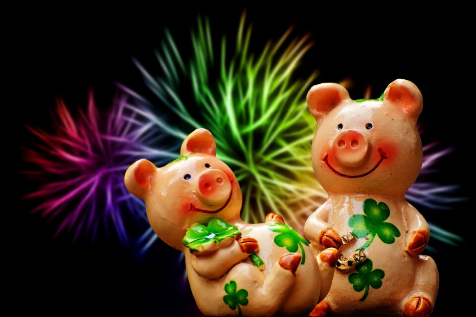 Cute lucky charm sow