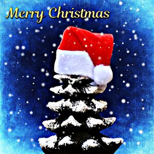 Trees funny santa hat