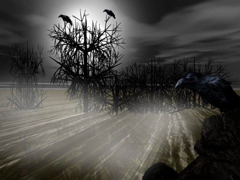 Bird landscape crow