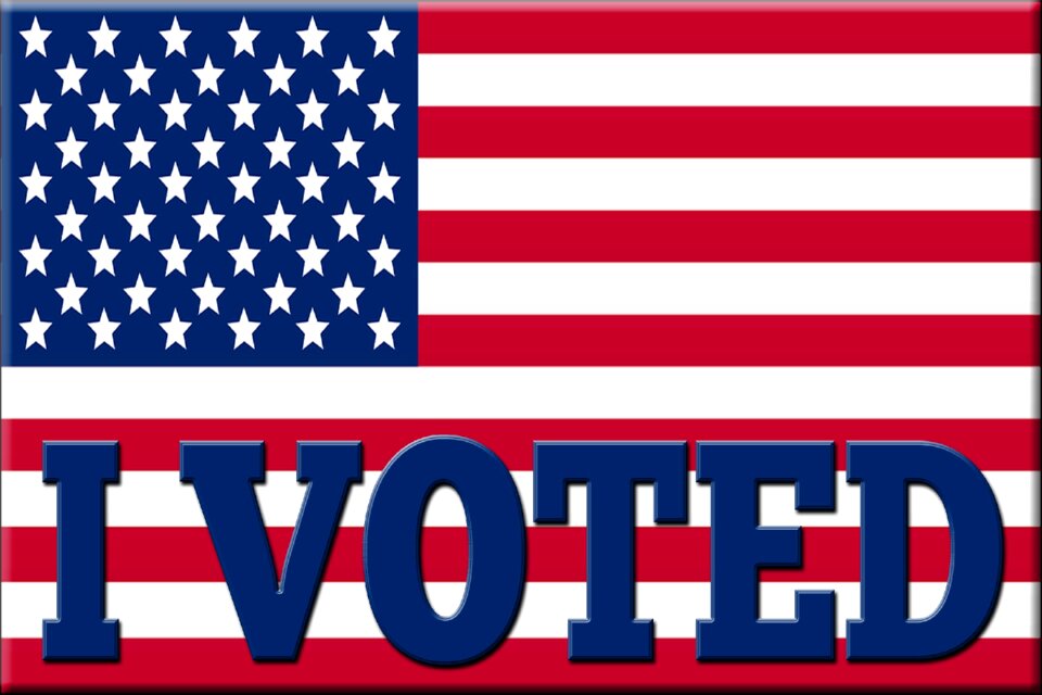Voting political government