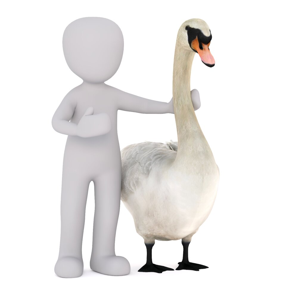 Isolated 3d model