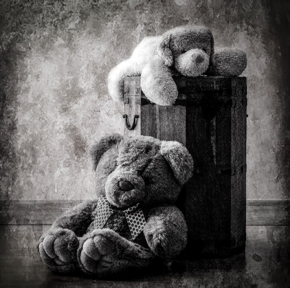Bear cub picture teddy bear