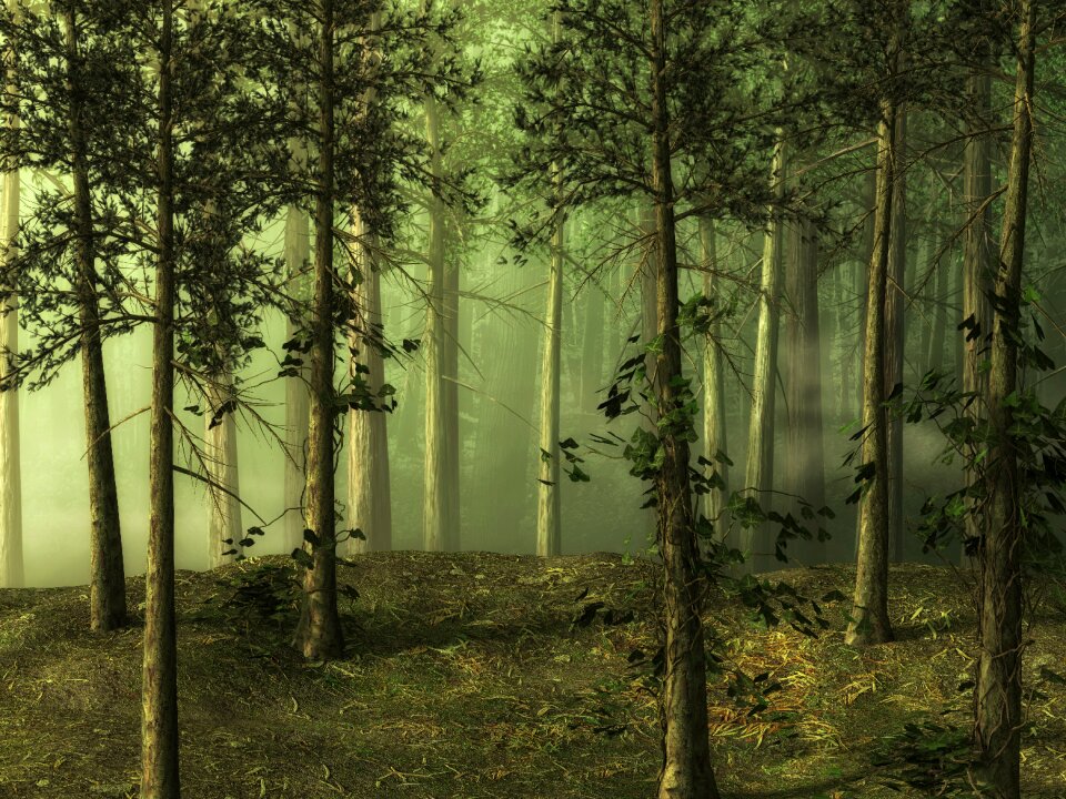Fairy tale forest fantasy digital art