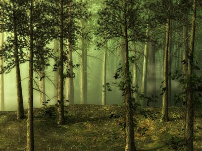 Fairy tale forest fantasy digital art
