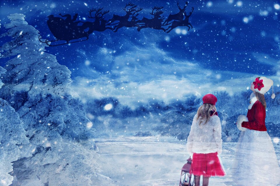 Reindeer sleigh snow snow landscape