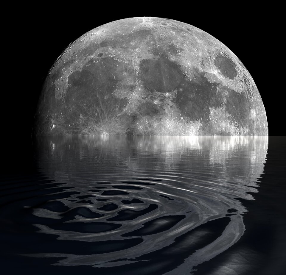 Night nature moonlight