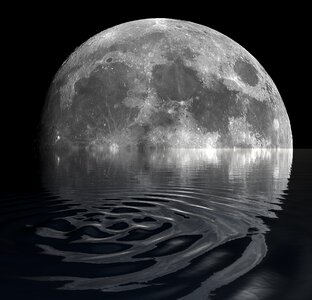 Night nature moonlight