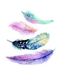 Wall art decoration Free illustrations