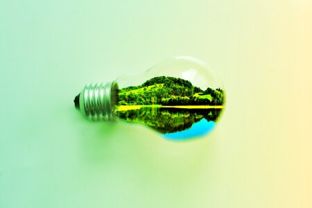 Nature lightbulb Free illustrations