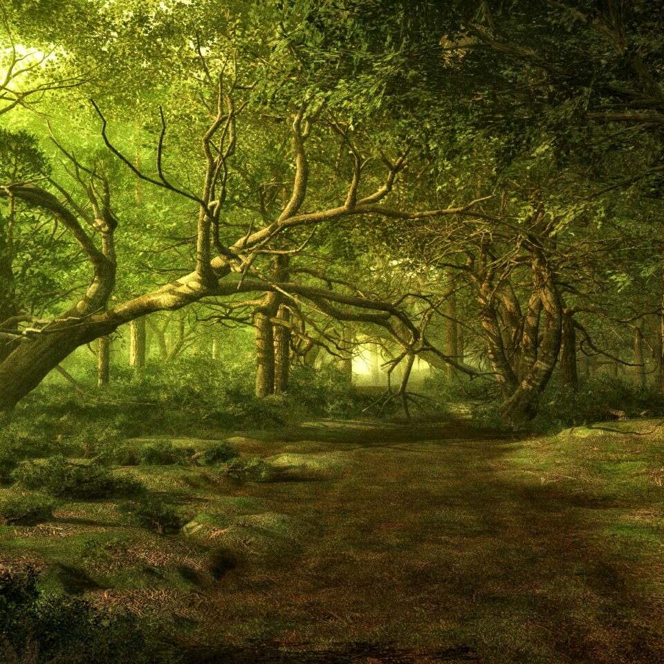Fairy tale forest fantasy digital art