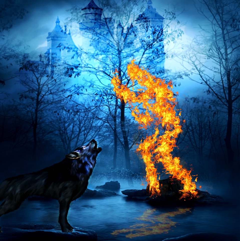 Fire flames burn