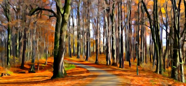 Landscape nature autumn gold