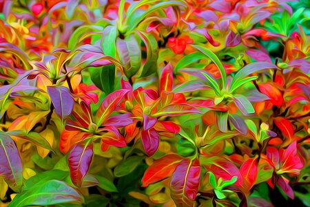 Leaves the seasons change change