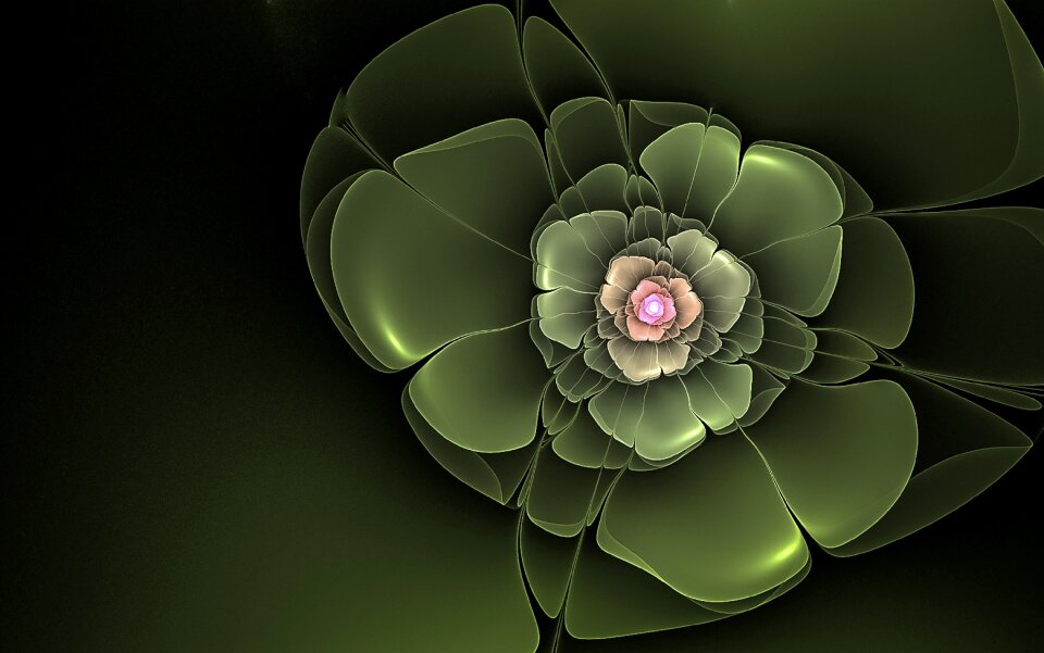 Fantasy floral bloom