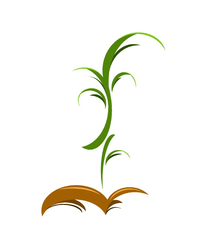 Seed soil natural
