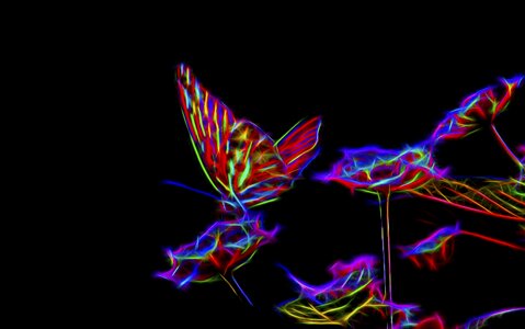 Black color colorful