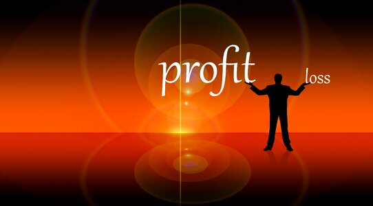 Profession profit report