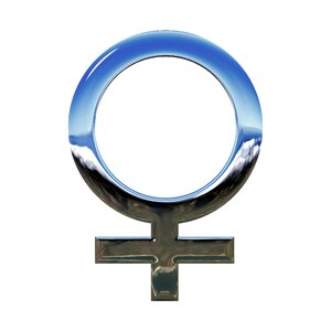 Female male Free illustrations