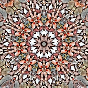 Kaleidoscope brown mandala Free illustrations