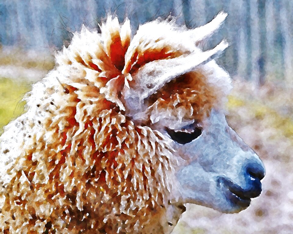 Animal oekaki cute